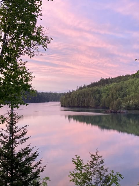View from the deck 