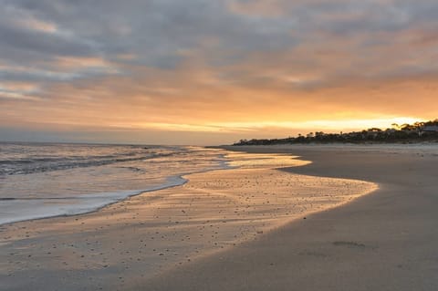Sunrise
