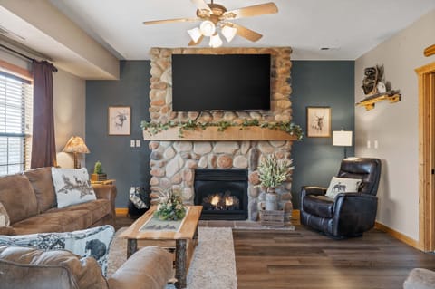 Living room with seasonal gas fireplace
