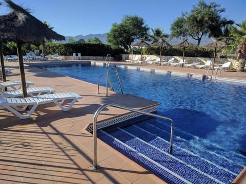 Outdoor pool, sun loungers