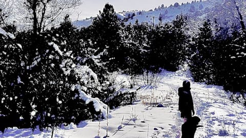 Walking now shoe trail 15 minutes away