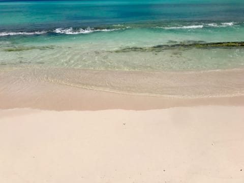 “Sea” you soon!