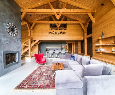 Living Room and Kitchen Area