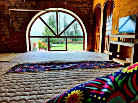 Cocodrilo | Down comforters