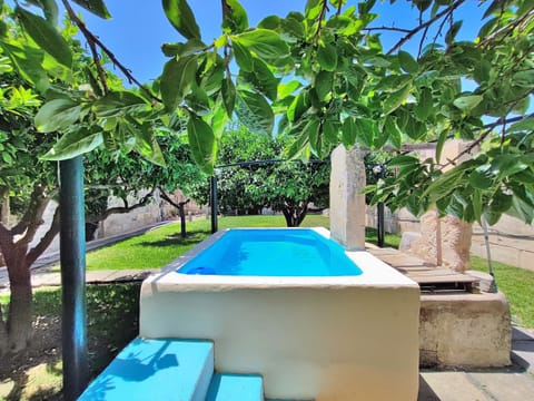 Traditional garden with traditional swimming pool (safareig)