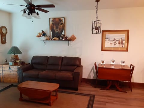 Downstair's living room.