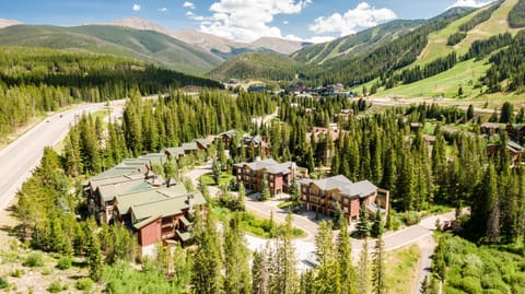 Condo, 3 Bedrooms | Aerial view