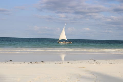Room, 1 Bedroom, Smoking, Private Pool | Beach