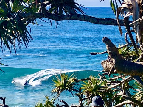 Cabarita headland - short walk from apartment