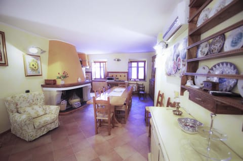 Full-size fridge, cleaning supplies, paper towels