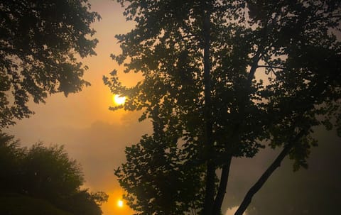 Awesome River Sunrises