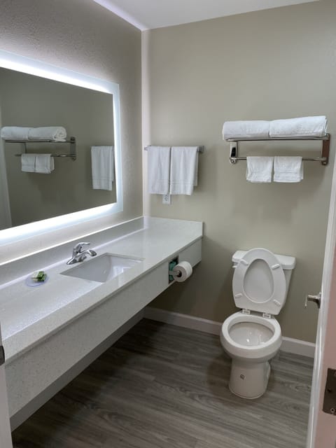 Combined shower/tub, free toiletries, hair dryer, towels