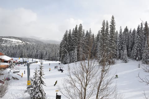 Winter view