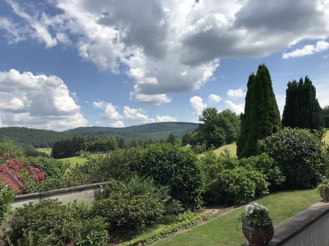 von der Terrasse...die Ausblick die Katzenbuckel und das Odenwald