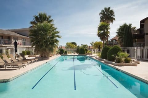 Adult Pool