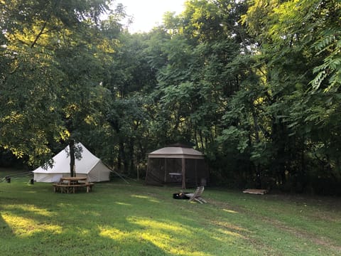 Enjoy the shade of large walnut trees through the day & starry skies at night!