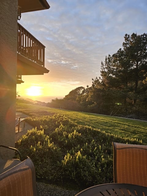 Winter View from living room patio
