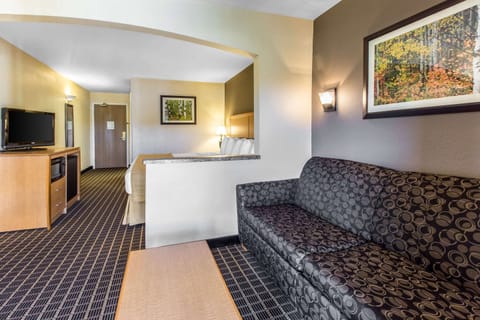 Premium bedding, in-room safe, iron/ironing board, rollaway beds