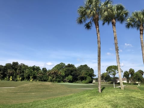 CC621 - County Creek's challenging 18 hole Executive course is great place for all levels of golfers