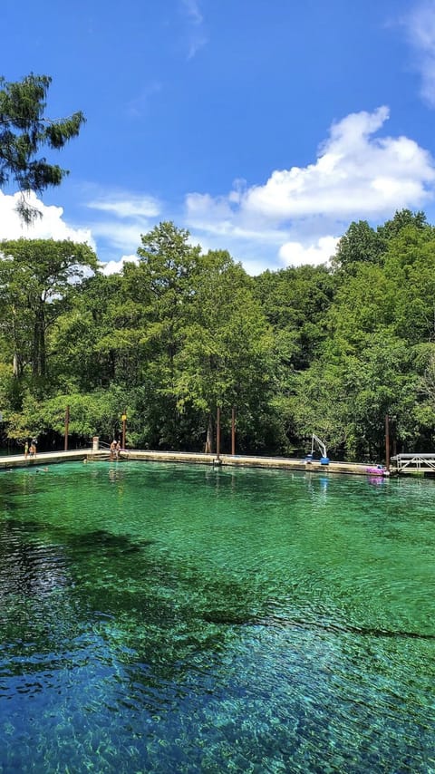 Hart springs