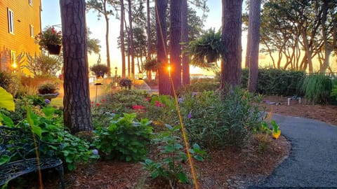Sunrise at The Spa