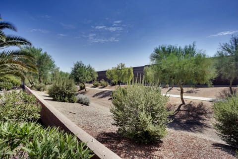 Walking trail behind the backyard