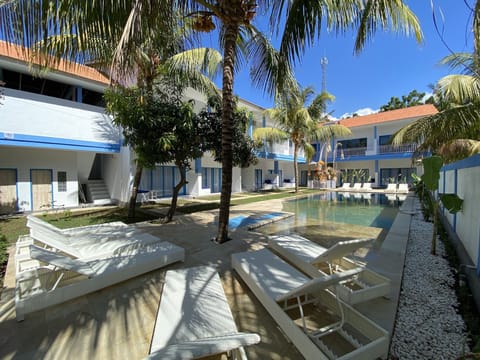 Outdoor pool, sun loungers