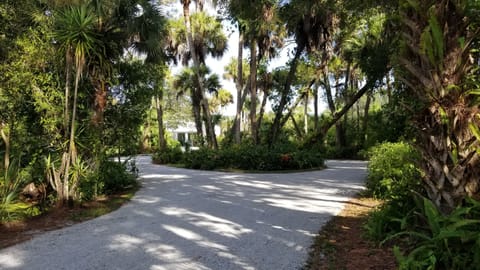 Welcome to an oasis! 