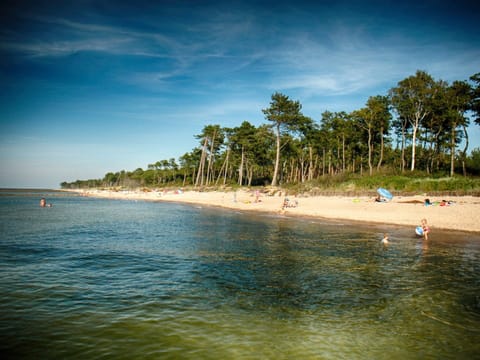 Cottage | View from property
