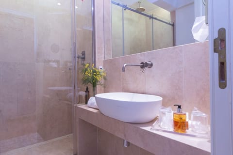 Deluxe Double or Twin Room | Bathroom | Free toiletries, hair dryer, bidet, towels