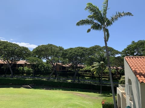 View from the lanai