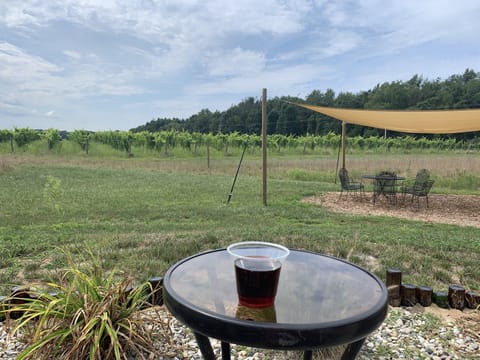 Cogdal Vineyards. 6 miles from property.