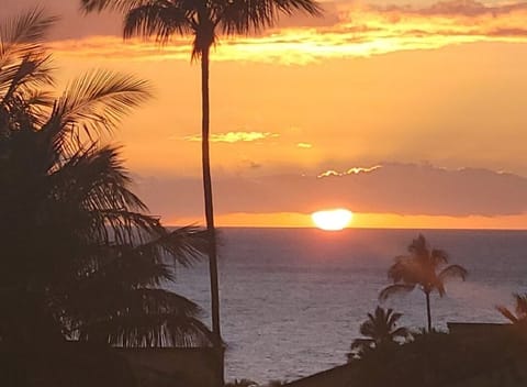 Maui Paradise...