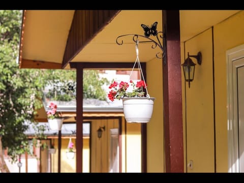 Bungalow, 1 Bedroom, Smoking, Balcony | View from property