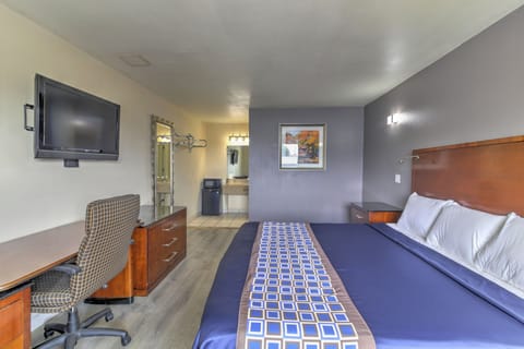 Desk, blackout drapes, soundproofing, iron/ironing board