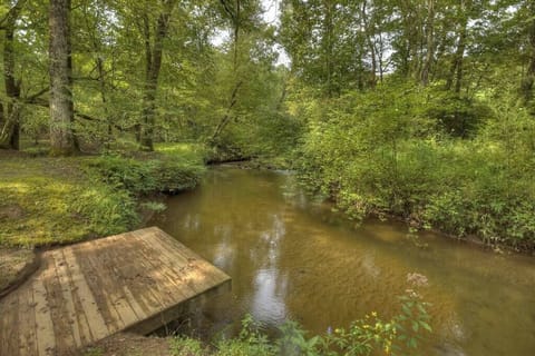 The peaceful creek in the backyard!