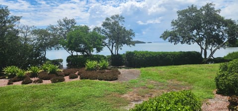 Bird island in the distance along with the Sunshine Skyway Bridg