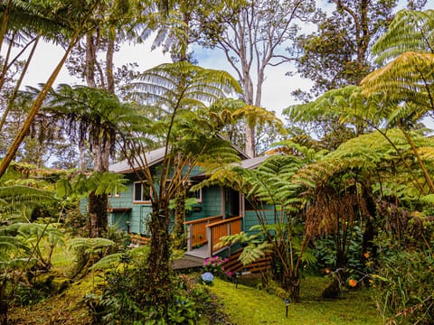Darling Cottage on 3 Acres - Volcano Kahaualea Cottage nestled in the verdant forest
