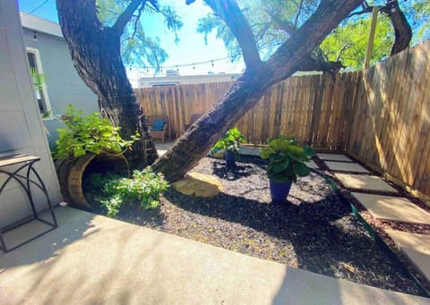 The trees and plants are so calming and relaxing. 