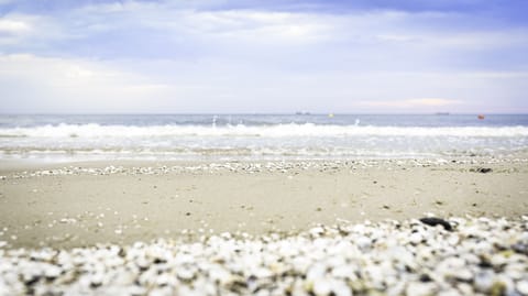 Beach nearby, white sand