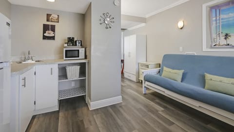 Living Area - Kitchenette