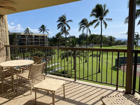 View from living room lanai. 