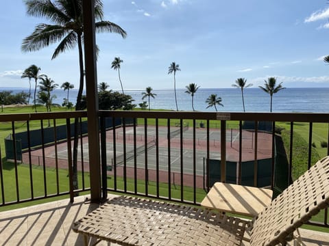 View from living room lanai. 