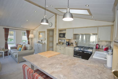 Cabin | Private kitchen | Fridge, microwave, oven, stovetop