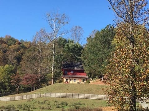 Freshwater Field Cabin nestled against the hillside.