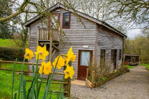 Cabin | Exterior