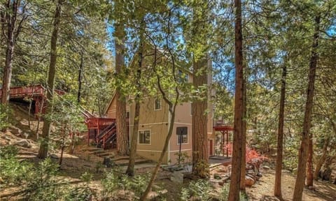 Enjoy the calming sound of the breeze through your own 1/2 acre of forest.