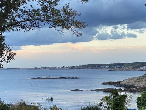 View of the cove from the 3 porches on the back of the house