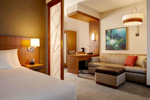 Hypo-allergenic bedding, down comforters, in-room safe, desk