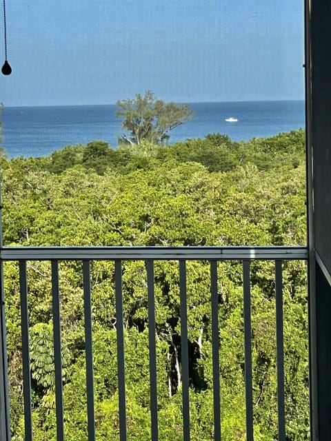 Oceanview from the condo.